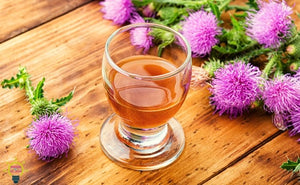 Mantén el hígado sano tomando Té Cardo Mariano